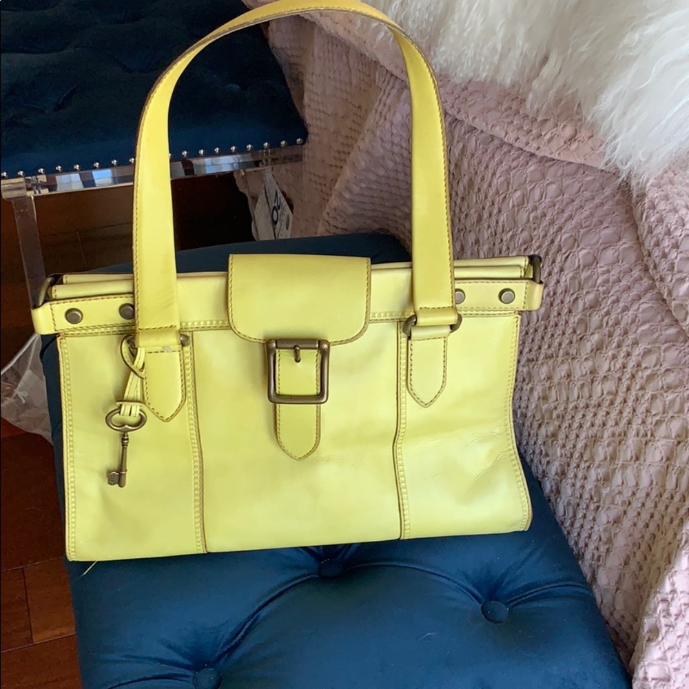 Fossil bag